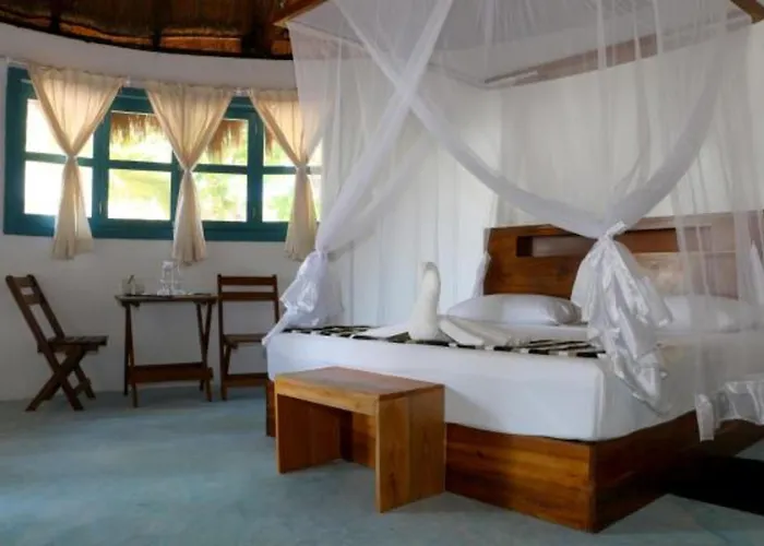 Dos Ceibas - Feel Good Tulum